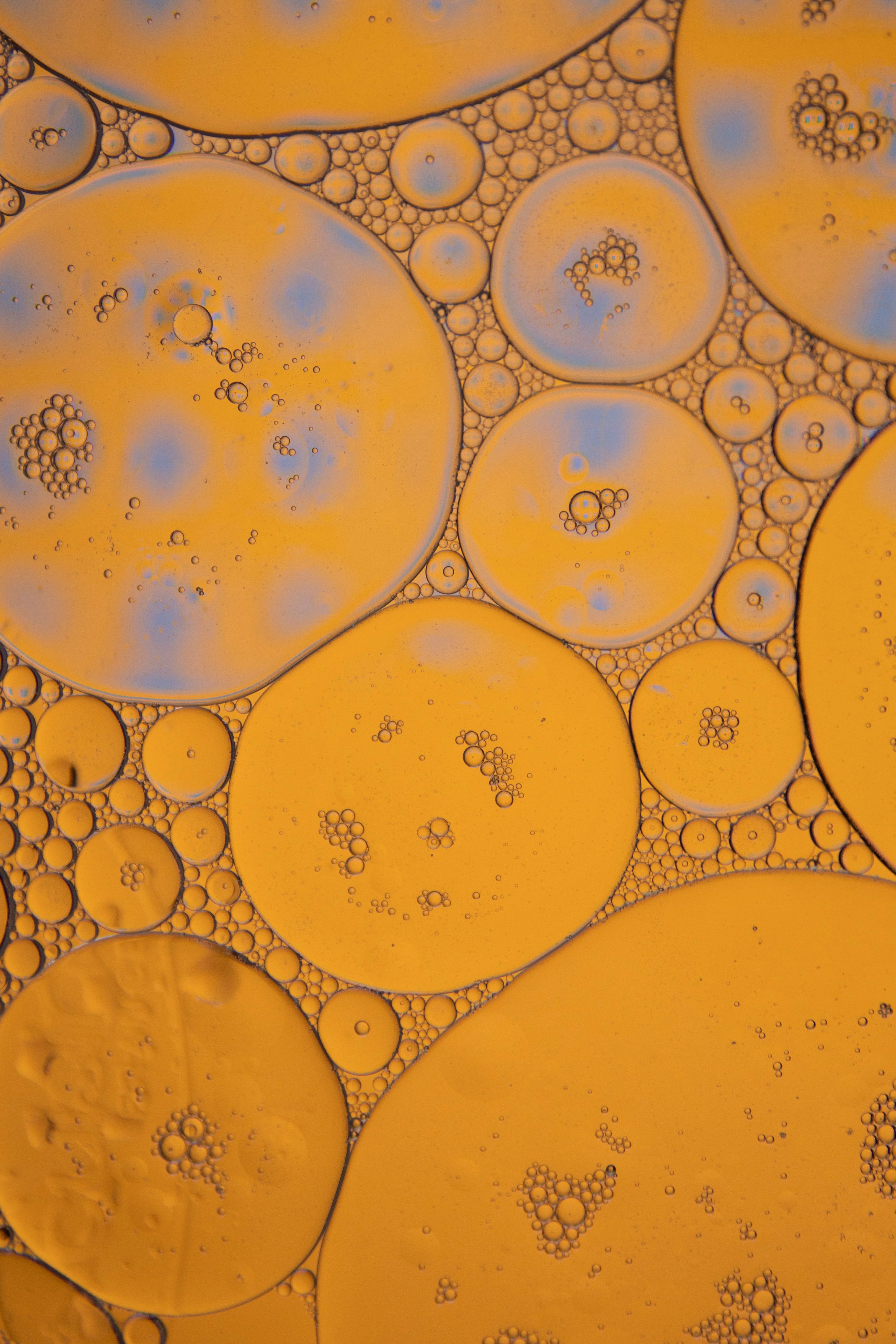 An L-Tyrosine Deep Dive
