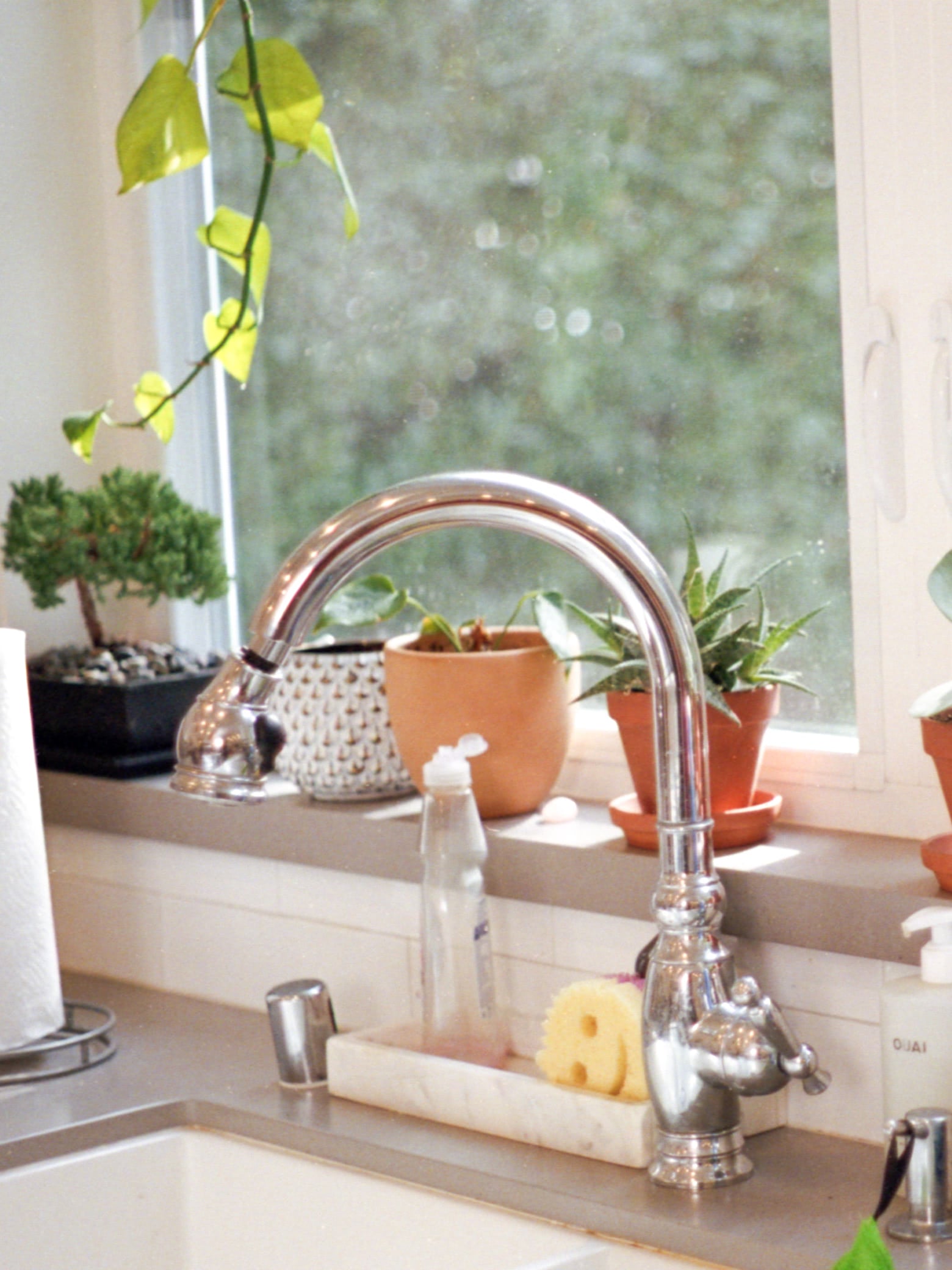Katie Maloney's kitchen sink, surrounded by plants in pots
