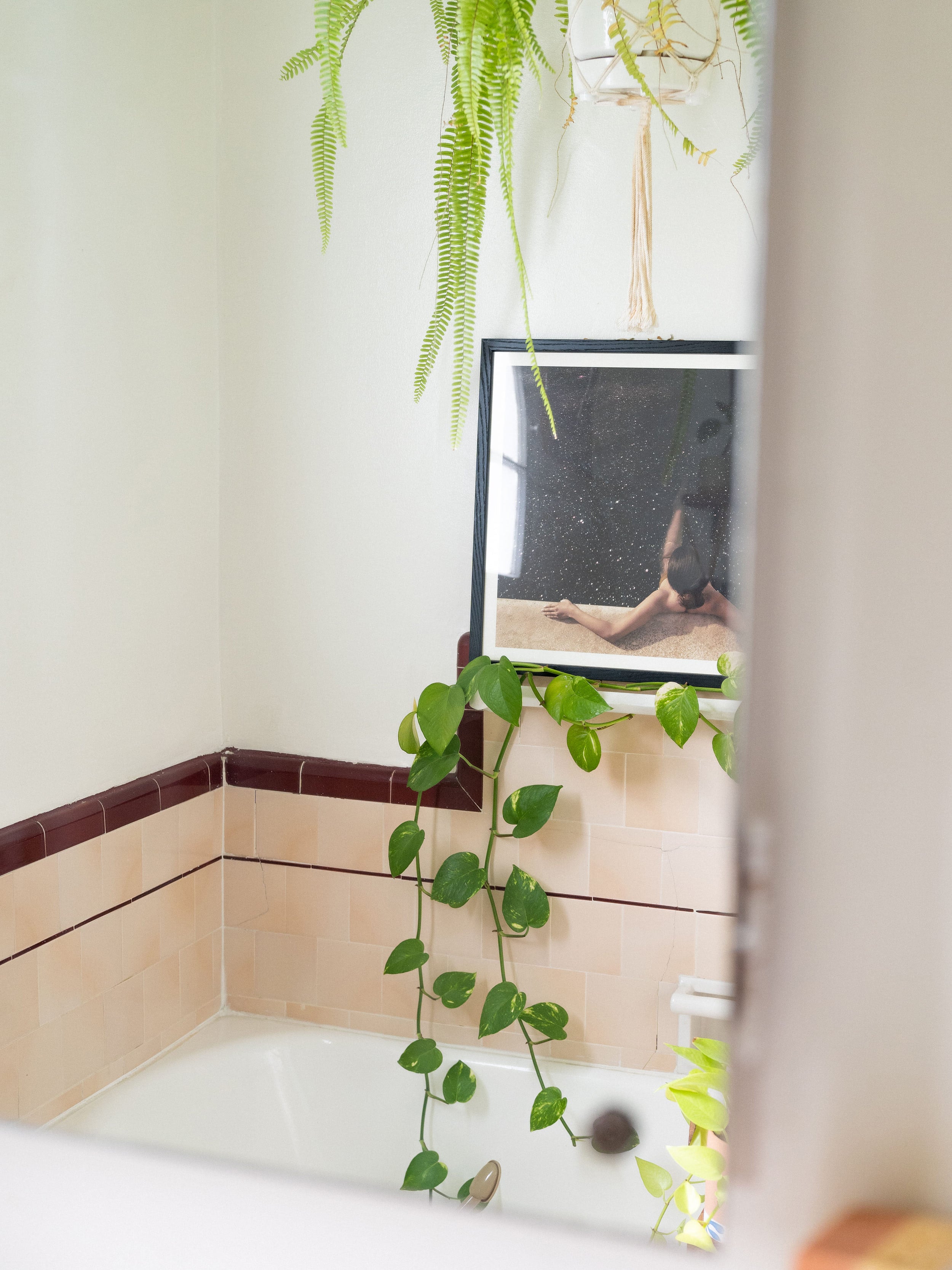 Aesthetician Sora Connor's bathroom with plants and a picture.