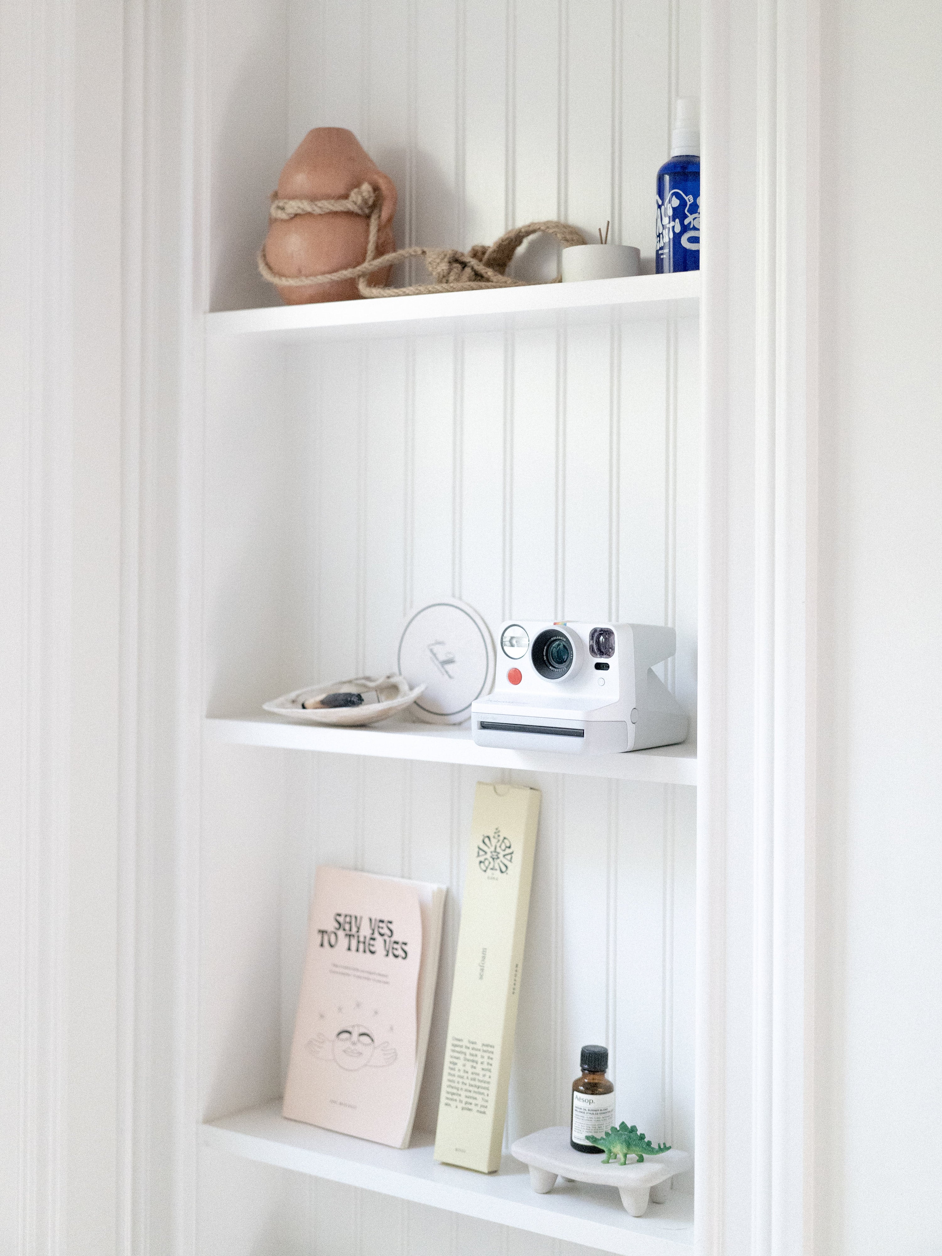 Sue Williamson's bathroom shelves, with different items such as a polaroid on the shelf